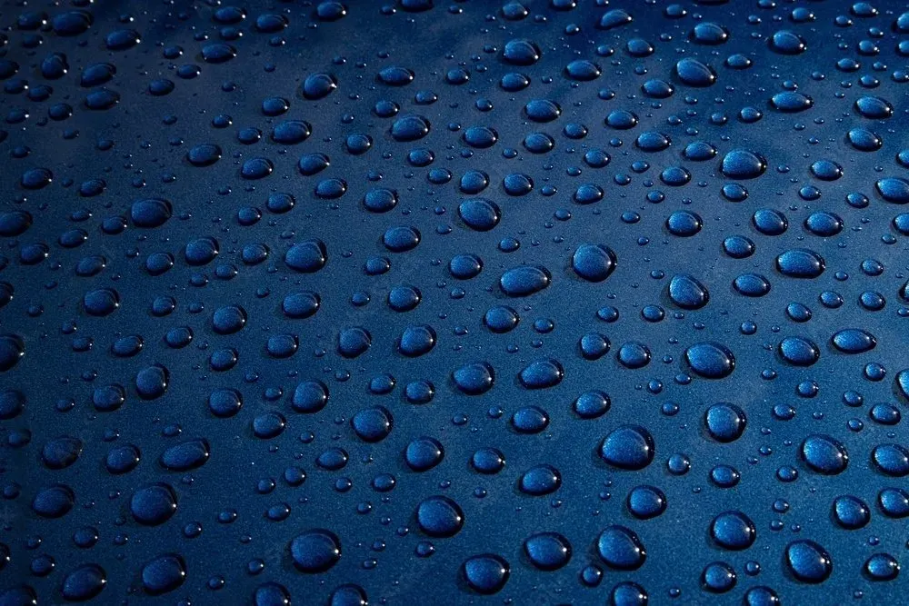 Ceramic Coating detail shot